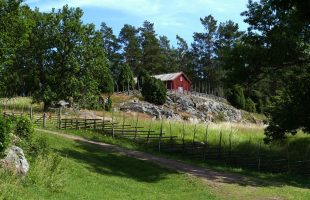 Studerar du ett museiämne?