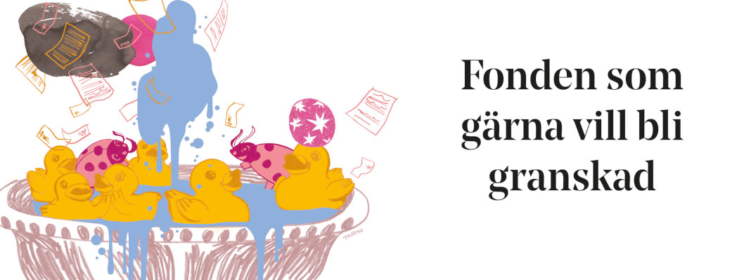 Fonden som gärna vill bli granskad - en illustration av sex badankor och två nyckelpigor i en balja.
