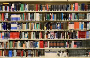 Fortbildningsresa för bibliotekarier